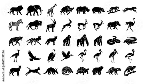 Photography African Wildlife Animal Silhouette Vector Collection Safari Fauna Icons Isolated
