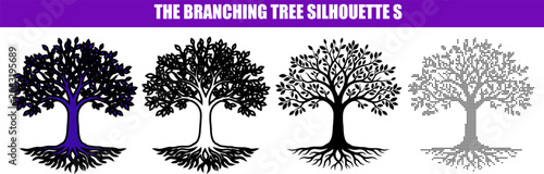 Stylized deciduous tree silhouettes with intricate root systems during seasonal change Isolated on white background