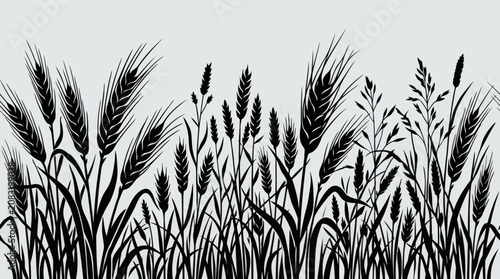 Obraz na płótnie Abstract silhouette of grain field