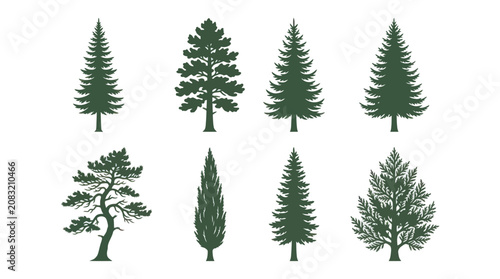 Collection of evergreen tree silhouettes