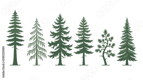 Collection of evergreen tree silhouettes