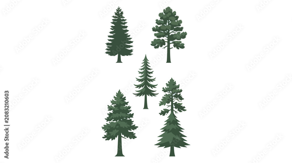 Obraz premium Collection of evergreen trees