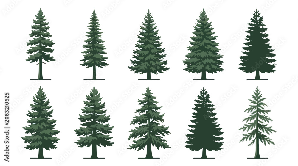 Obraz premium Collection of evergreen trees