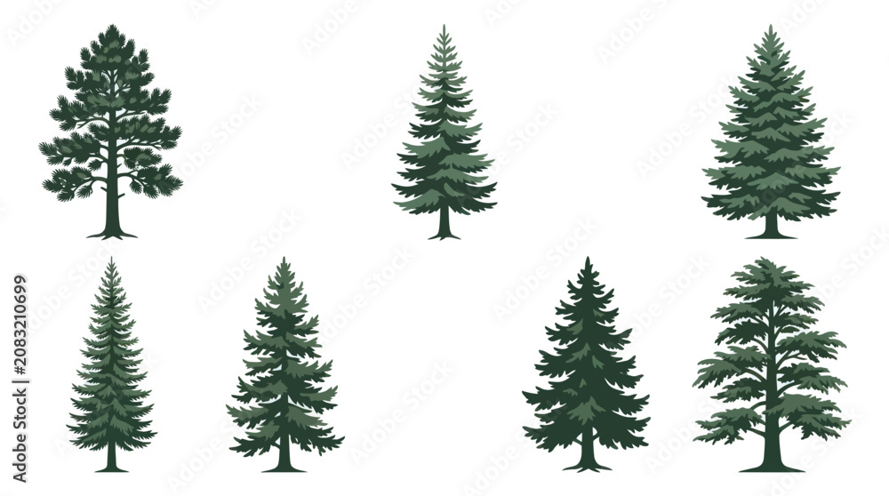 Obraz premium Collection of evergreen trees
