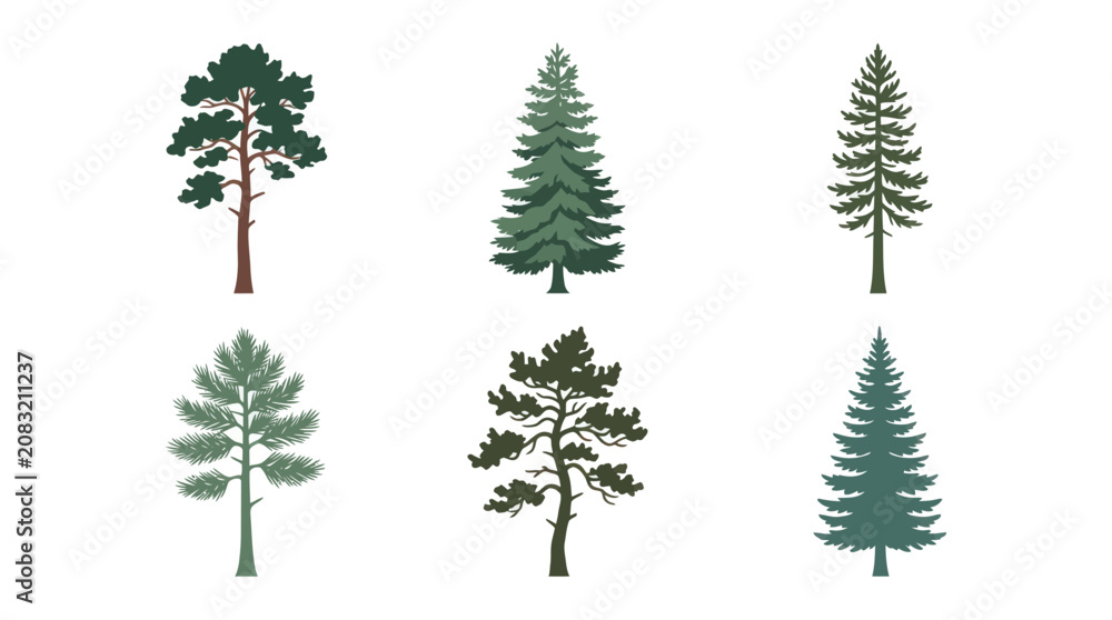 Fototapeta premium Collection of pine trees vector illustrations