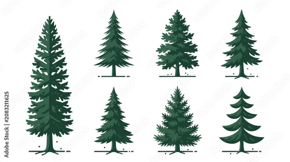 Obraz premium Coniferous trees collection