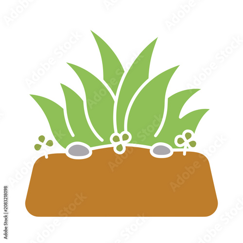 Flat illustration of succulent plant with roots and soil