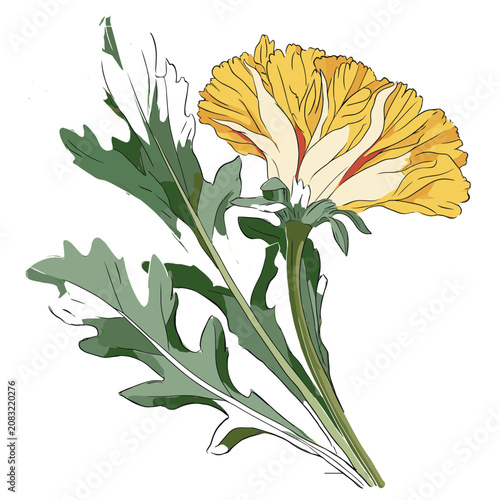 Yellow flower with green leaves vector illustration