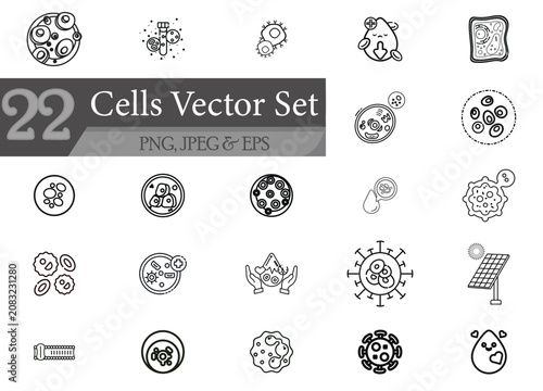 Bacteria Cell Division Icons Set