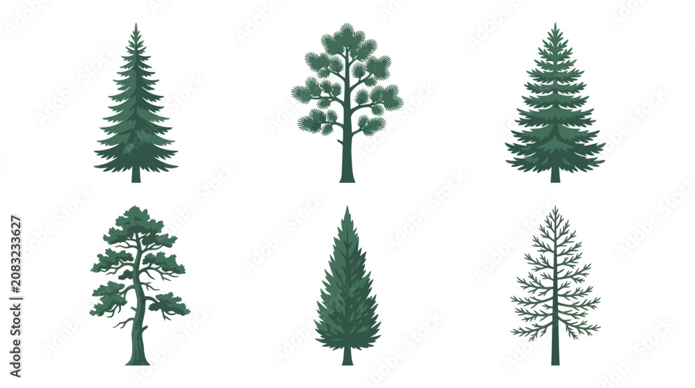 Obraz premium Set of evergreen trees illustrations
