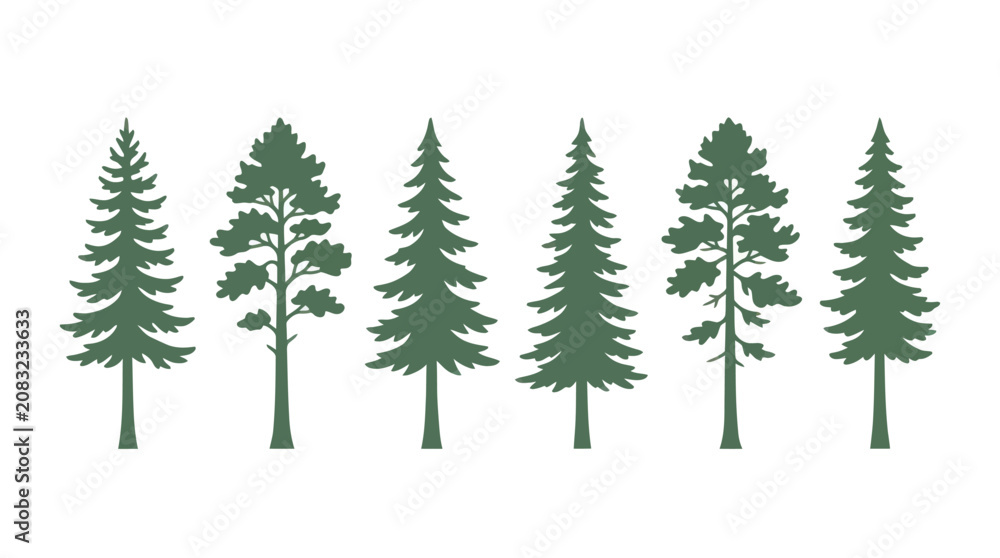 Obraz premium Set of evergreen trees silhouette