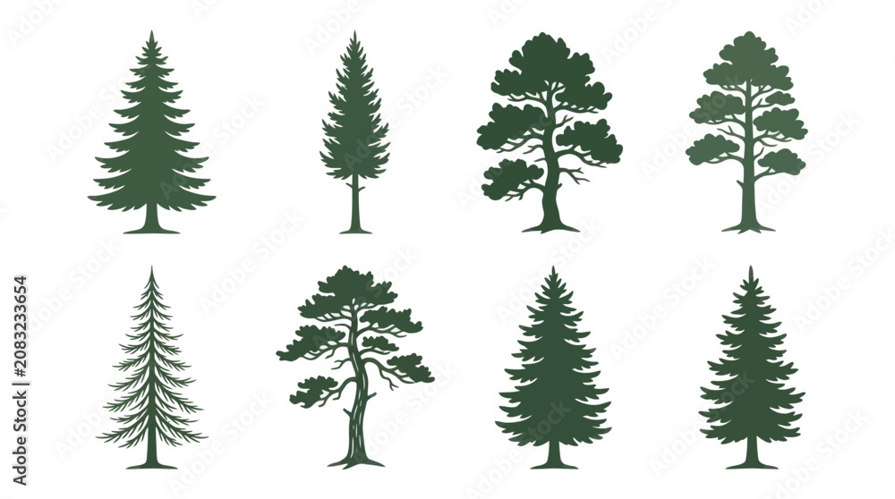 Obraz premium Set of evergreen trees silhouettes