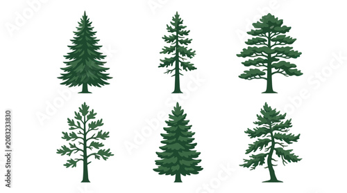 фотографія Set of pine tree illustrations