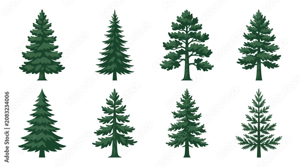 Obraz premium Set of evergreen coniferous trees