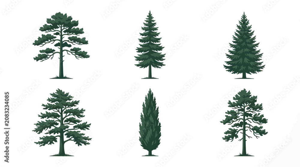 Obraz premium Set of various evergreen trees