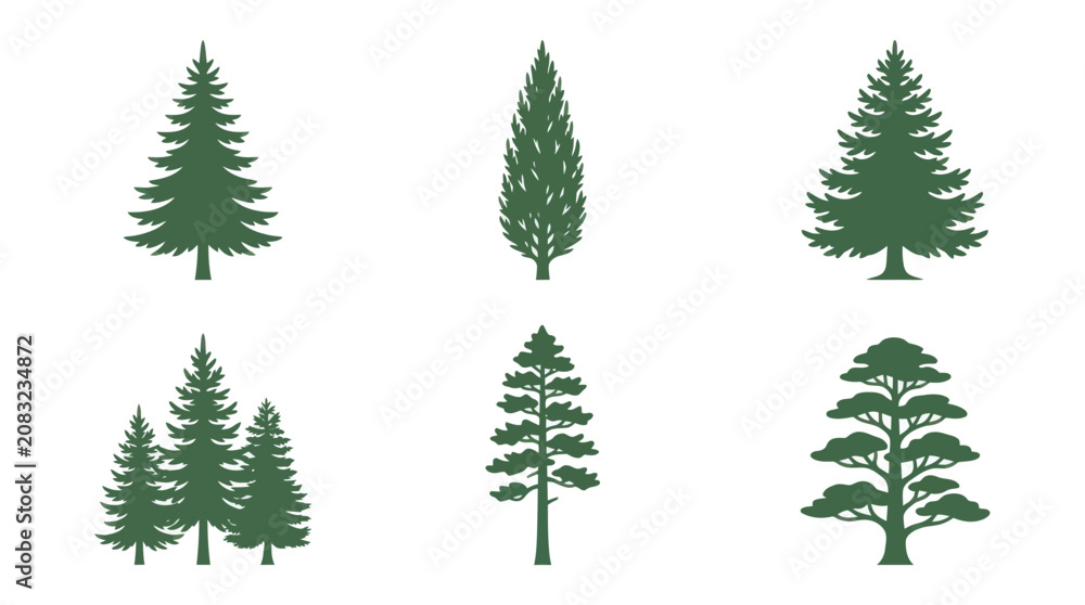 Obraz premium Variety of evergreen tree silhouettes