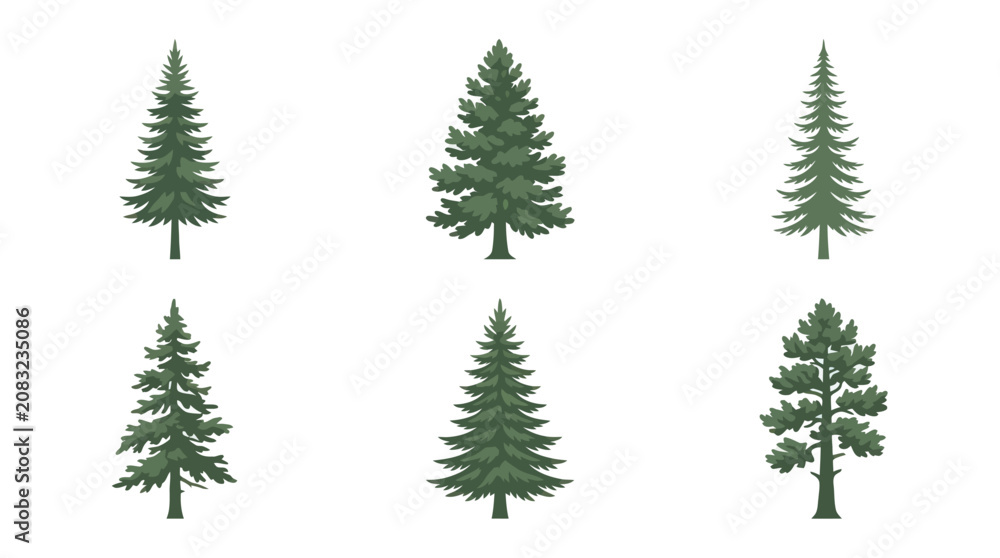 Obraz premium Variety of evergreen trees