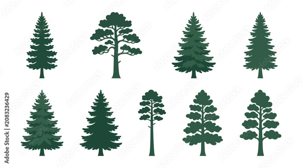 Obraz premium Variety of pine tree silhouettes