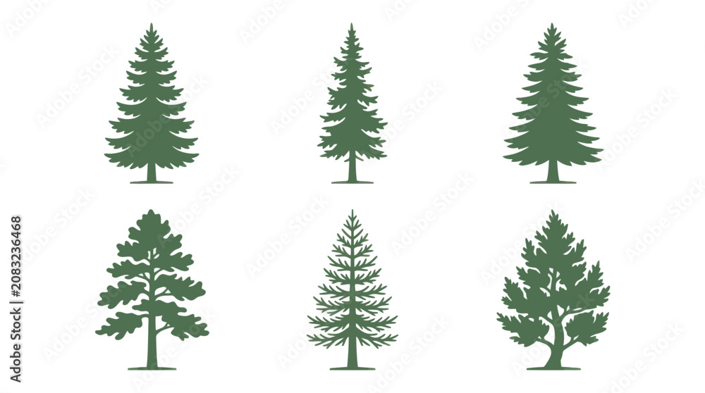 Obraz premium Variety of pine tree silhouettes