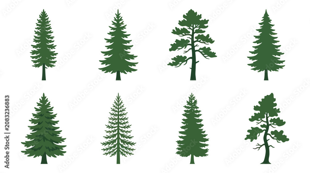 Obraz premium Various evergreen tree illustrations
