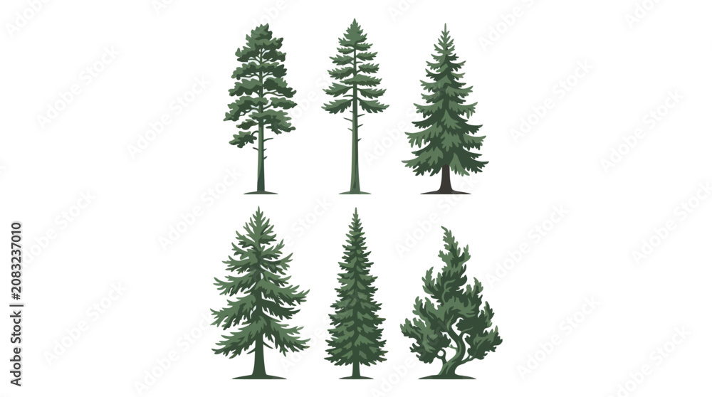 Obraz premium Various evergreen tree illustrations