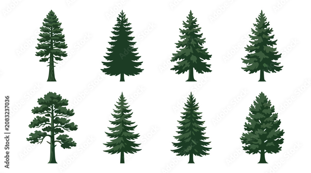 Obraz premium Various evergreen tree illustrations
