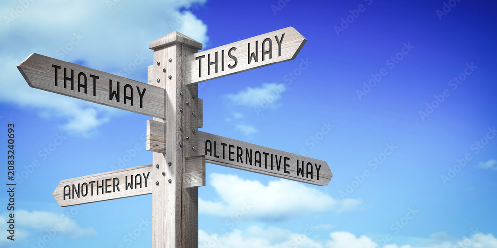 Fototapeta premium This way concept - wooden signpost with four arrows - 3D rendering