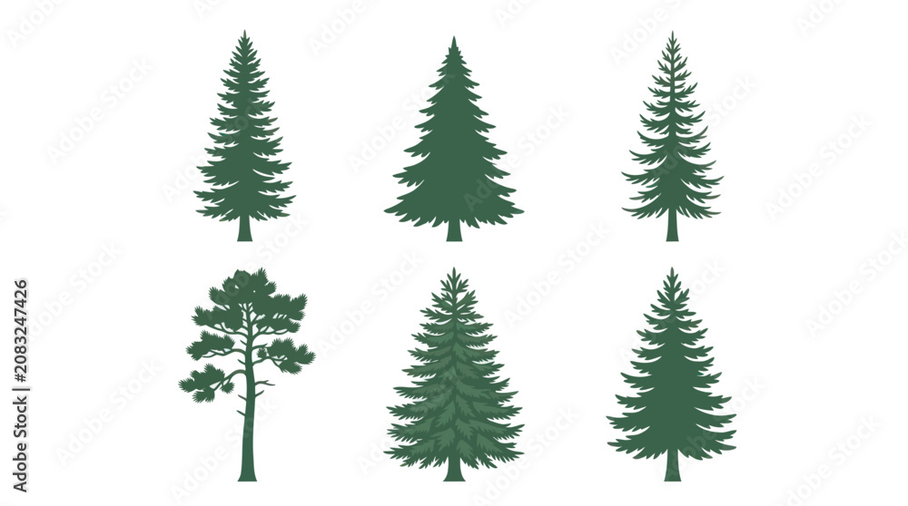 Fototapeta premium Various evergreen tree silhouettes