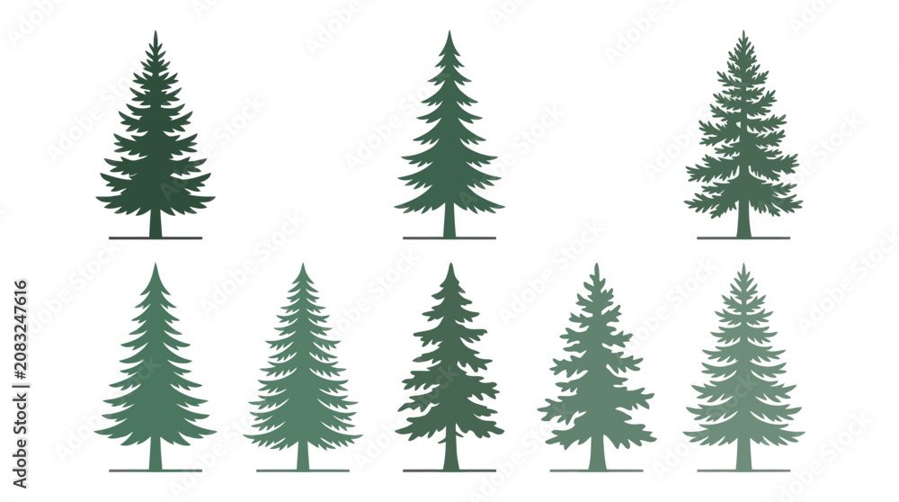 Obraz premium Various evergreen tree silhouettes