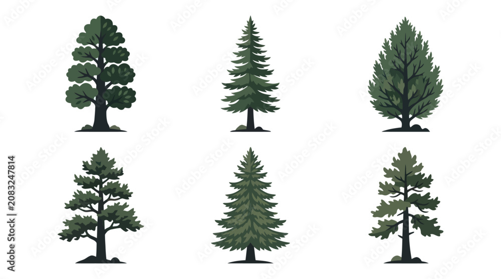 Obraz premium Various evergreen trees illustration