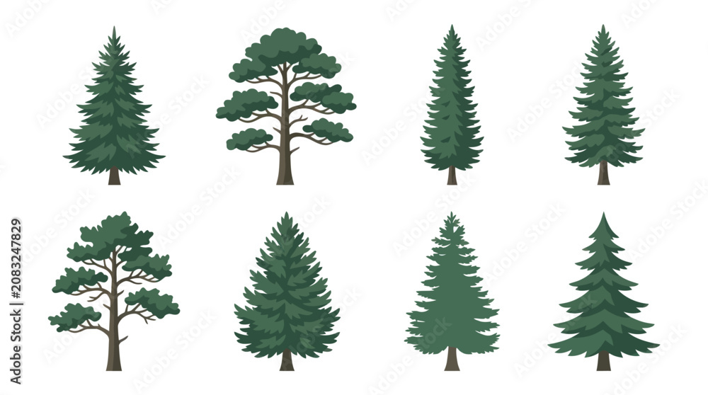 Obraz premium Various evergreen trees illustration