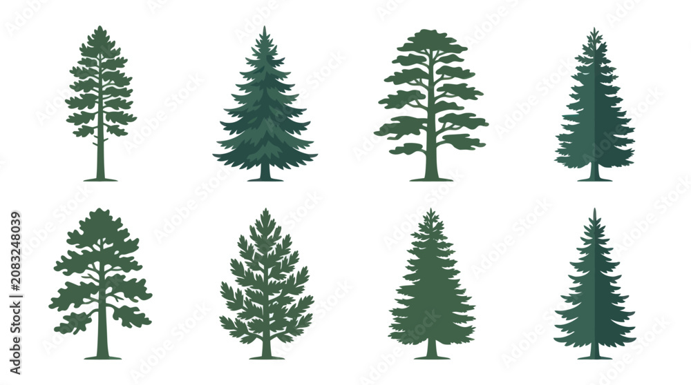 Obraz premium Various green evergreen tree silhouettes