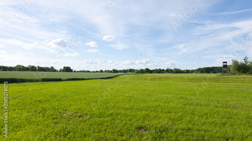 Wide green meadow with a hunting stand beneath a blue sky and scattered clouds. Suitable for rural landscape, hunting and outdoor concepts.