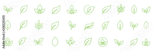 Fotografie Leaf line icons