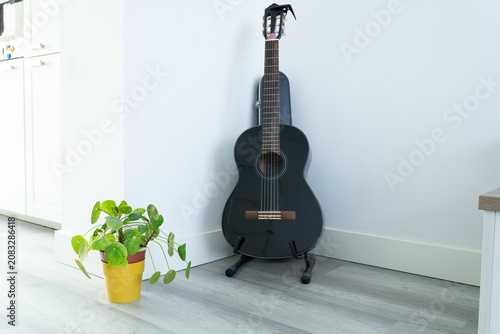 Photography An acoustic guitar stands on a stand, with a violin in its case visible behind it, and a flower pot placed nearby, creating a cozy music corner