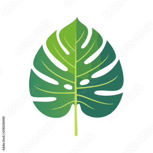 Monstera Leaf Flat Vector Illustration