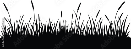 Black grass silhouette border, wild meadow foliage vector illustration isolated decorative nature design element collection