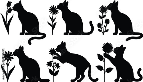 Obraz na płótnie Cat silhouettes sniffing and interacting with various vector illustration