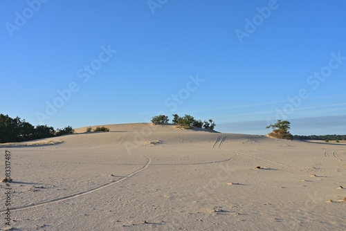 Foto A wide landscape view of the expansive sand dunes and sparse vegetation of the Drunense Duinen in the Netherlands, under a clear blue sky