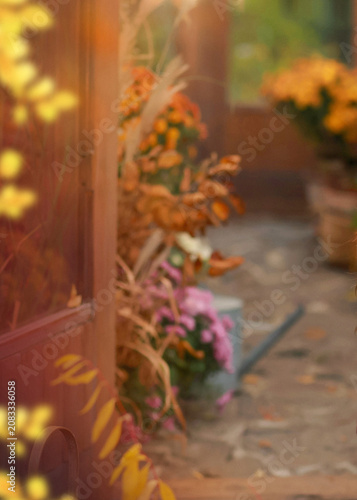 Cozy autumn backyard background with blurry yellow fall leaves, vintage watering can and colorful potted chrysanthemum flowers in warm sunlight.