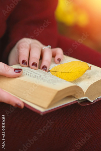 Close-up of a woman in a cozy burgundy knitted sweater holding an open book with a yellow autumn leaf on it.