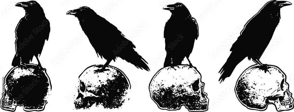 Fototapeta premium black ravens perched on human skulls in gothic monochrome artwork, dark surreal spooky design
