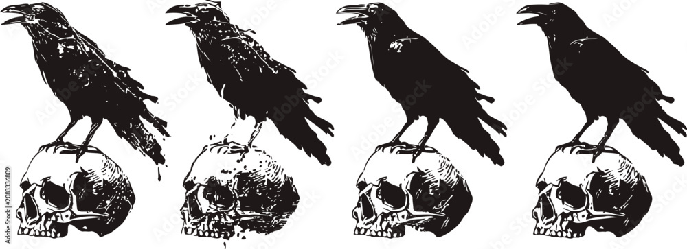 Fototapeta premium grunge raven perched on human skull silhouette set isolated on white background