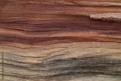 Apricot wood texture with natural grain and layered structure