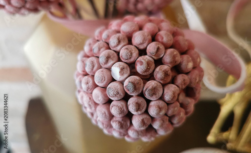 Craspedia Billy Buttons bottoni d'oro artificiale
