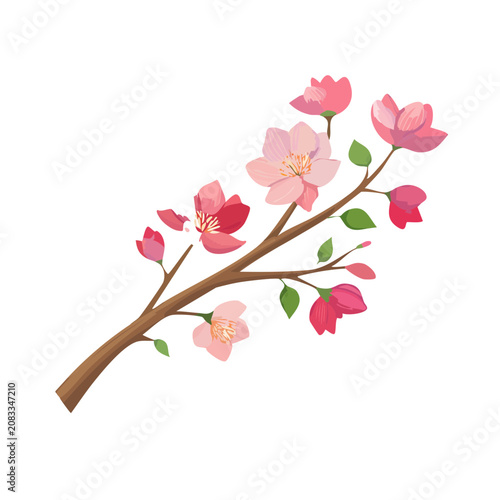 Cherry blossom branch with flowers and leaves vector illustration