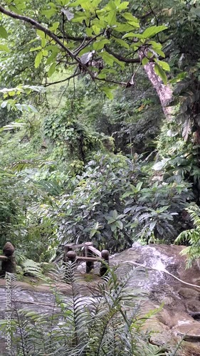 Stunning natural white limestone cascades at Bua Tong Sticky Waterfalls in a lush forest setting, Chiang Mai, Thailand.