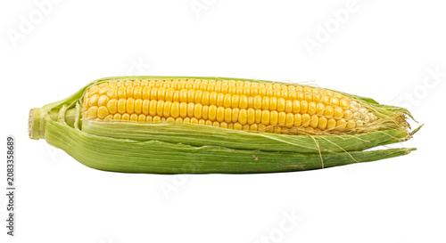 Tableau sur toile Fresh yellow corn cob with green husks and silky threads, isolated on white back