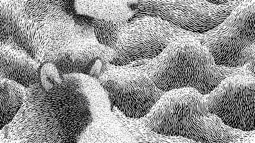 Seamless wavy black line fur texture pattern. Seamless black and white abstract pattern creating a wavy fur or hair texture