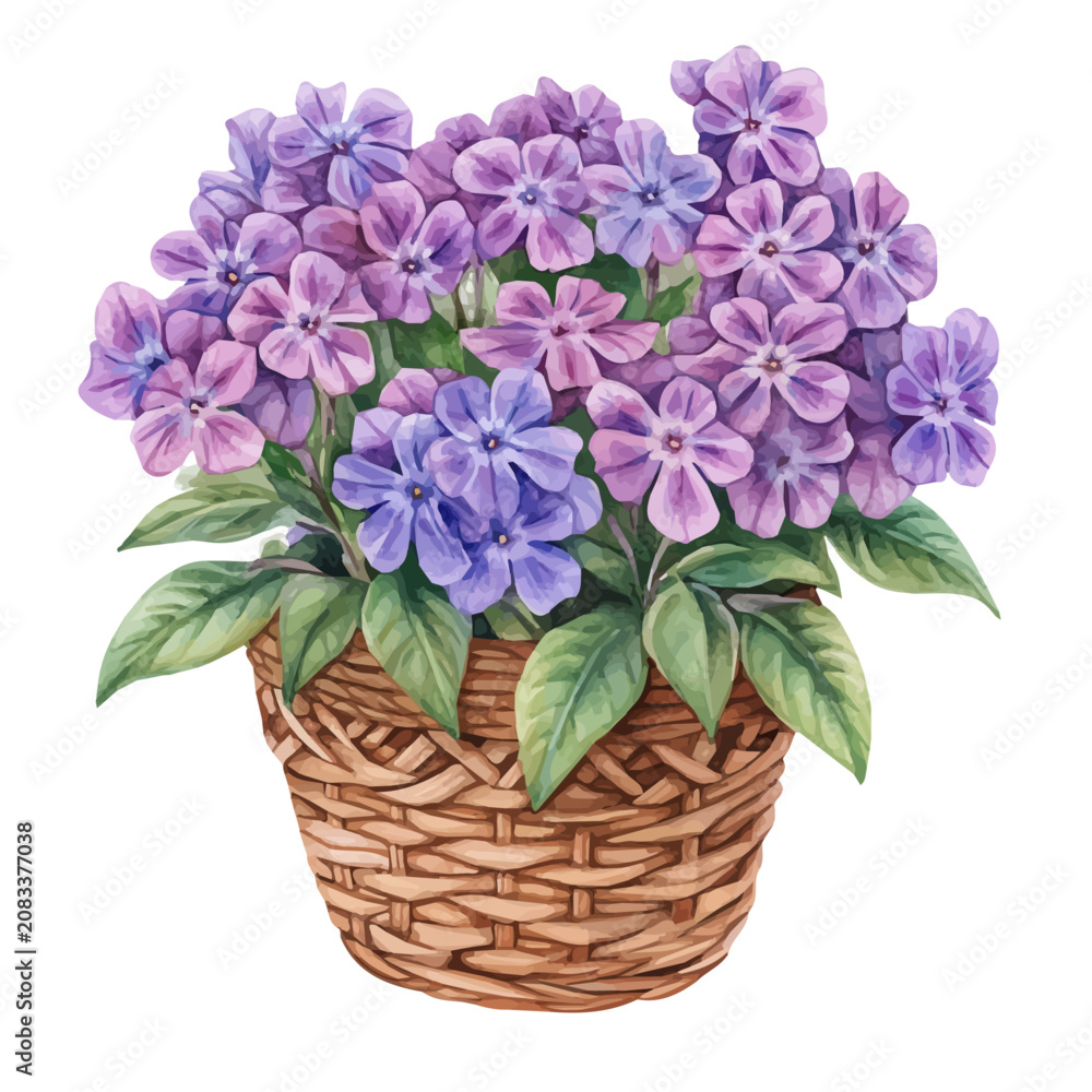 Obraz premium Phlox Bouquet In A Basket, charming vector painting in watercolor with whimsical textures, isolated on a white background.